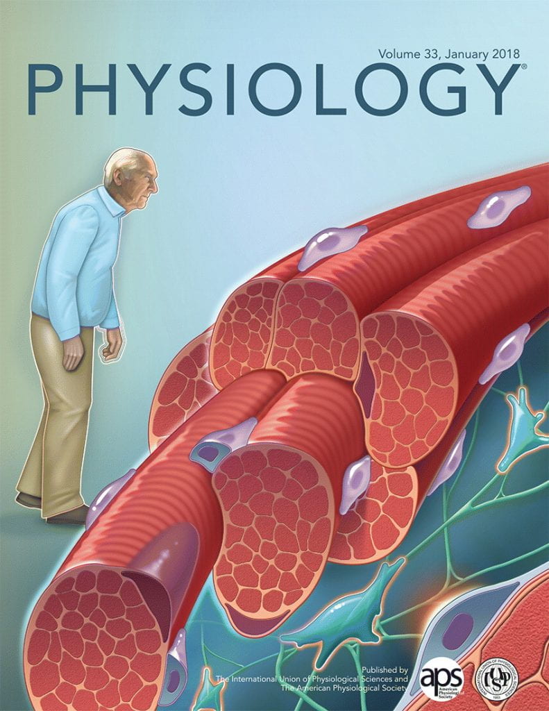 Journal of Physiology Volume 33, Issue 1, January 2018